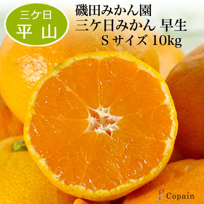 送料無料【三ケ日みかん】平山産 磯田みかん園の三ケ日みかん 早生 10kg（秀ランク・Sサイズ）