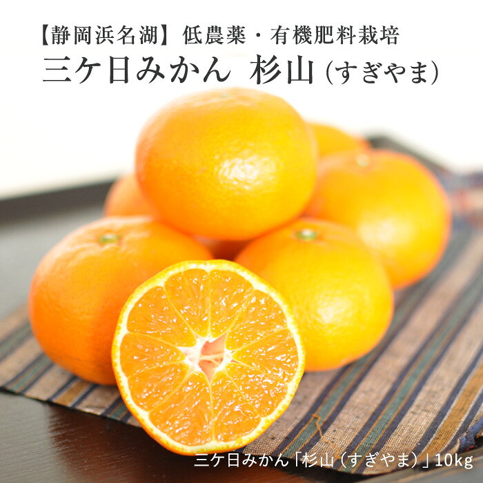 三ヶ日みかん ［低農薬・有機肥料栽培］ 黒柳さんちの三ケ日みかん「杉山」 10kg 送料無料