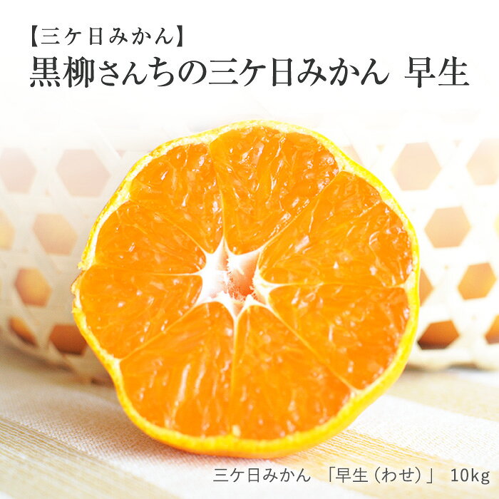 三ヶ日みかん ［低農薬・有機肥料栽培］ 黒柳さんちの 三ケ日みかん 「早生（わせ）」 10kg