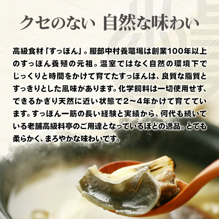 ���äݤ��� [��̾��]���� Ϸ�ޤΤ��äݤ��� ���åȡ֤ޤ��3��4�����㤪���󤻥�����������¼�����