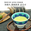 新茶  遠州森の茶師厳選 静岡新茶（初摘み）詰合せ