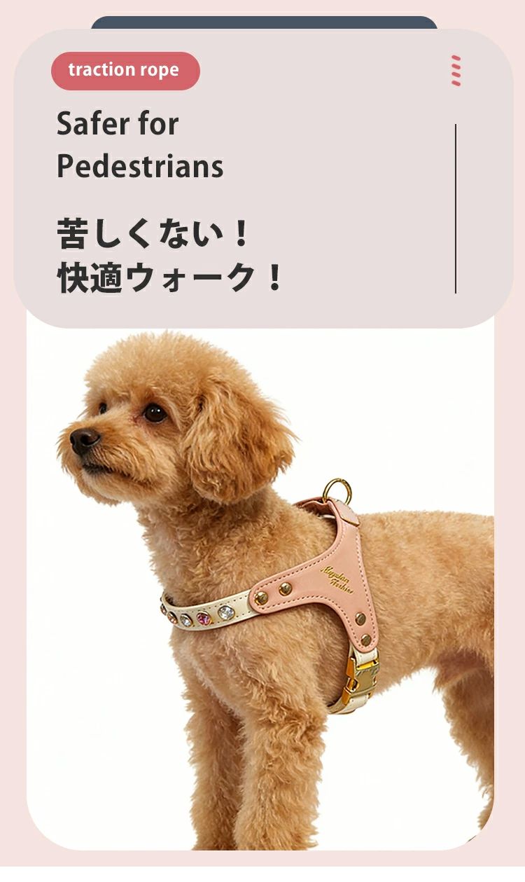 おしゃれ 胴輪 犬用 お洒落 PUレザー 迷子防止 オールシーズン 小型犬 ハーネス 散...