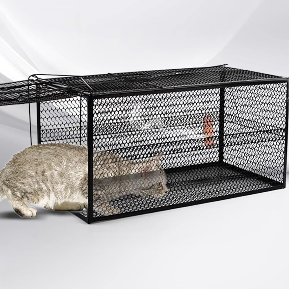 アニマルトラップ 捕獲器 53×19×19cm 猫 捕獲機 箱罠 踏板式 吊りエサ 害獣 駆除 捕獲カゴ 小動物 迷子猫 保護 野良猫 ハクビシン イタチ コンパクト メッシュ 設置簡単 農業 畑 庭