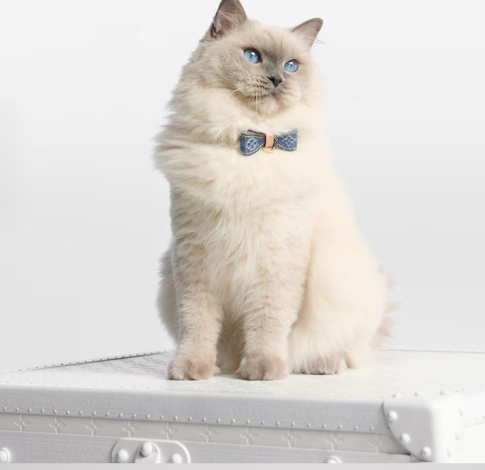 ľ��Ź ������ �륤�����ȥ󤪼��󤻿���LOUIS VUITTON�륤�������ȥ��Υ����ǥ˥�ܥ�����å� ���顼 XS