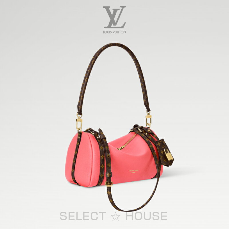 直営店 正規品お取り寄せ新品LOUIS VUI...の紹介画像2