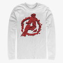 マーベル Marvel アベンジャーズ Tシャツ 長袖 ロングスリーブ エンドゲーム レディース メンズ