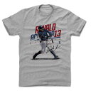 MLB TVc u[uX ihEAN[jEWjA Player Art Cotton T-Shirt 500Level O[ 1112LVyOCSLz