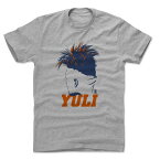 MLB Tシャツ アストロズ ユリエスキ・グリエル Player Art Cotton T-Shirt 500Level グレー 1112LV【OCSL】