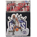 NBA ~b`Eb`h TNgELOX 1996 Die Cut }Olbg Pro Magnets