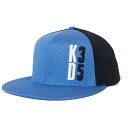 Prfg Lbv KD MVP Snapback Hat iCL Nike Royal Black