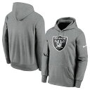 NFL C_[X p[J[ vCS Therma Pullover Hoodie iCL/Nike O[