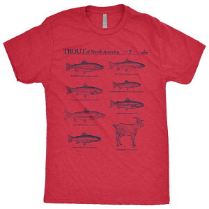 【海外限定版】MLB マイク・トラウト エンゼルス Tシャツ Trout Of North America GOAT T-Shirt RotoWear レッド