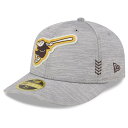 MLB phX Lbv 2024 NunEX Clubhouse [vt@C 59FIFTY j[G/New Era O[