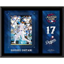 MLB 大谷翔平 ドジャース フォトフレーム オールスターゲーム2024 12 x 15 Sublimated プラーク Fanatics oh24gd(4)
