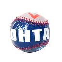 MLB 大谷翔平 ドジャース ボール 【ケース付き】Shohei Photo Baseball FOCO oh24gd