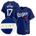 MLB 大谷翔平 ドジャース ユニフォーム 【現地買付カスタム】リミテッド 漢字サイン刺繍 ナイキ/Nike ロイヤル