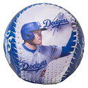 MLB 大谷翔平 ドジャース ボール 【2025個限定】ワールドシリーズ 2024 Ohtani Photo Baseball With UV Case FOC...