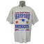 NFL ペイトリオッツ 2003 AFC カンファレンス チャンピオン記念 Tシャツ グレー レアアイテム【OCSL】