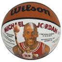 NBA ブルズ マイケル・ジョーダン レコード ミニ バスケットボール ウィルソン/Wilson レアアイテム BSKTBLL特集