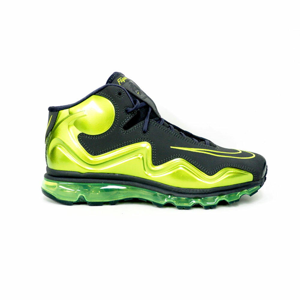 NIKE/ナイキ シューズ/バッシュ AIR MAX FLYPOSITE エアマックス フライポジット アンスラサイト 536850-013 レアアイテム