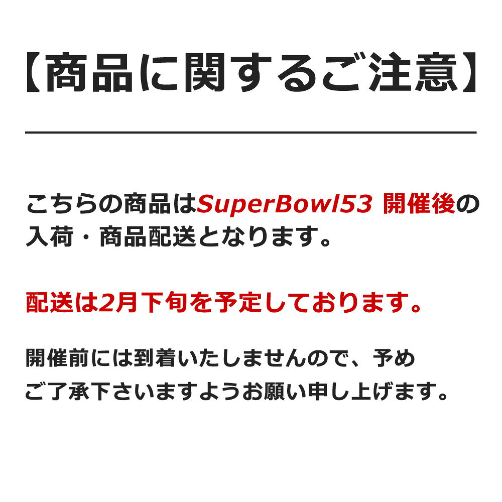 NFL ��53�� �����ѡ��ܥ��� ���ե������ �ץ������ Super Bowl LIII