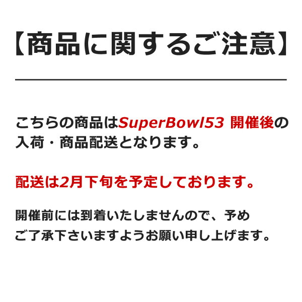 NFL 第53回 スーパーボウル オフィシャル プログラム Super Bowl LIII