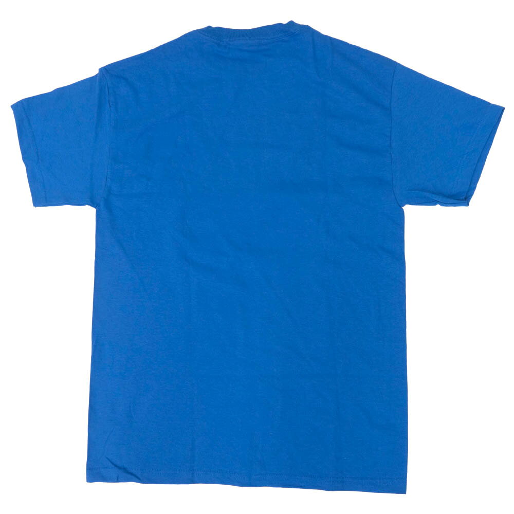 MLB.NBAグッズショップ SELECTIONのWWE Tシャツ レスリング 80s レトロ TV ロゴ WWE Authentic ロイヤル【OCSL】｜アングル2