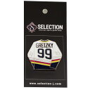 NHL EFCEOcL[ St.Louice Blues sY sob` Wayne Gretzky The Great One Commemorative Pin : Jersey Upper Deck