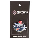 NFL ペイトリオッツ ピンバッチ 第53回スーパーボウル 優勝記念 Commemorative Pin : AFC East Division Champions PSG