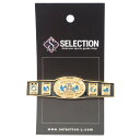WWE ザ チャンピオンシップ ベルト ピン (2000 LE) : インターコンチネンタル チャンピオン PSG
