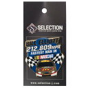 Nascar ビル・エリオット Bill Elliott Limited Edition Pin Set : 212.809 MPH Fastest Man in Nascar Pin PSG