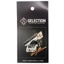 Nascar XeBEX Car Signiture Pin PSG