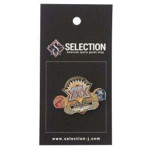 NFL 第29回スーパーボウル Joe Robbie Stadium Pin 1 IMPRINTED PRODUCTS