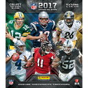 NFL グッズ ステッカーコレクション 2017-18 パニーニ PANINI シール