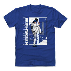 쥤ȥ󡦥硼 T MLB ɥ㡼 Stretch T-Shirt 500Level ֥롼