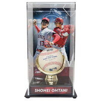 MLB 大谷翔平 エンゼルス グッズ 実使用 試合球 ボール＆ディスプレイ セット ゴールドグローブ 1点物 2020 8/24 7回イニング - 
激レアな大谷選手コレクショングッズが新入荷！
