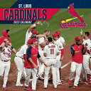 MLB カージナルス カレンダー 2023年 12x12 チーム 壁掛け Calendar Turner