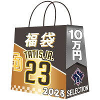 【ピックアップ】MLB フェルナンド タティス ジュニア パドレス 福袋 プレイヤー パック 2023 福袋  ラッキーバッグ 10万Ver 福袋 - 
ご高評頂いているMLBプレーヤー福袋！タティス選手＆イチロー選手グッズを狙い撃ちしたい方にもオススメです！
