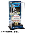 MLB A[EWbW L[X {[fBXvCP[X Authentic HR L^ Sublimated Display Case