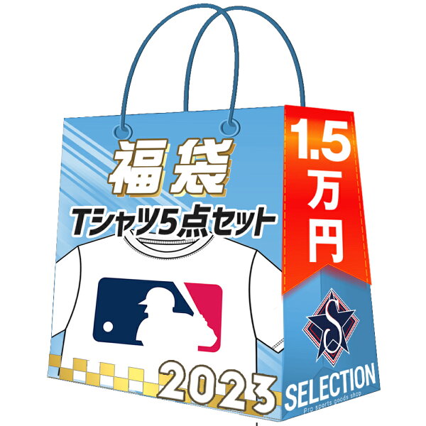 MLB Tシャツ 福袋 2023 5点パック 1万5000 ラッキーバック 福袋