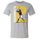 MLB ザンダー・ボガーツ パドレス Tシャツ San Diego Vertical T-Shirt 500Level ヘザーグレー