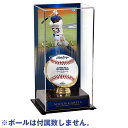 MLB ɥꥹ륷 󥸥㡼 2023 ɥ꡼ ͥǰ ܡǥץ쥤 Fanatics Authentic