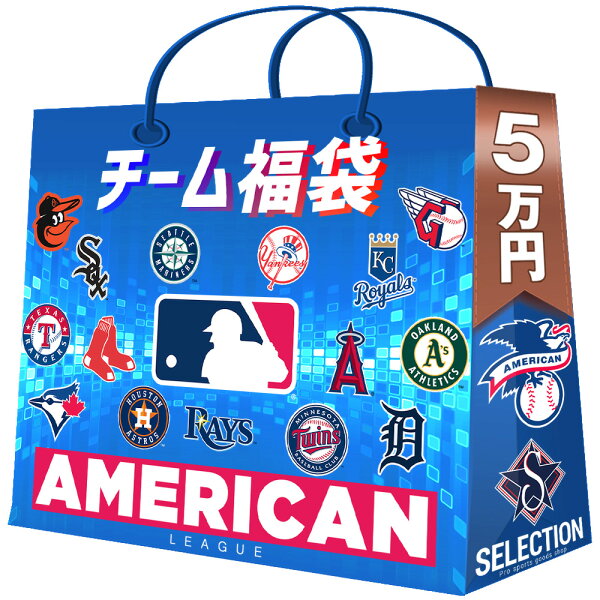 MLB チーム福袋 2024 ア・リーグ 5万円 セレクション American League 福袋 予約商品