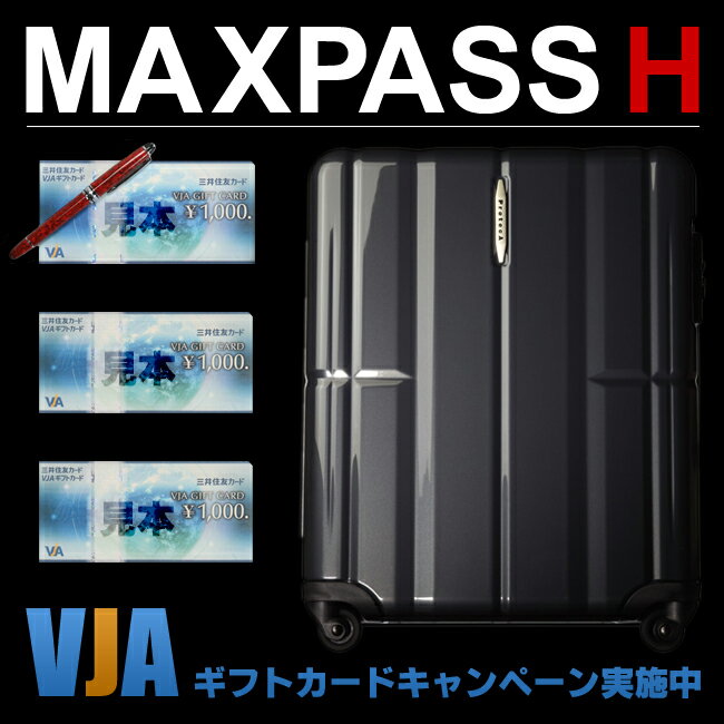 ACEProtecAMAXPASSH�������ץ��ƥ��ޥå����ѥ��������ڥ����ĥ������ۡڵ���������ߡۡں����ۡ�40L�ۡ��ں��ܰ�2���4��ۡ�02131�ۡ�����̵����