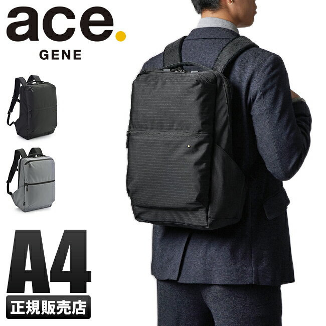 4H47ܡ6/4 20ŵդ5ǯݾڡå ѥå-airV2 ӥͥå  ̶ A4 ace.GENE 62076ں߸˸¤