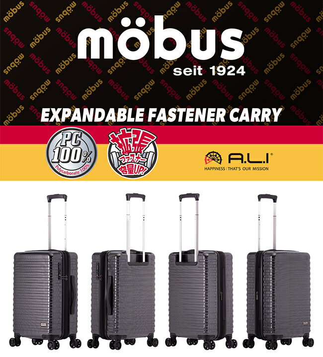 【最大39倍 3/15限定】特典付き アジアラ...の紹介画像2