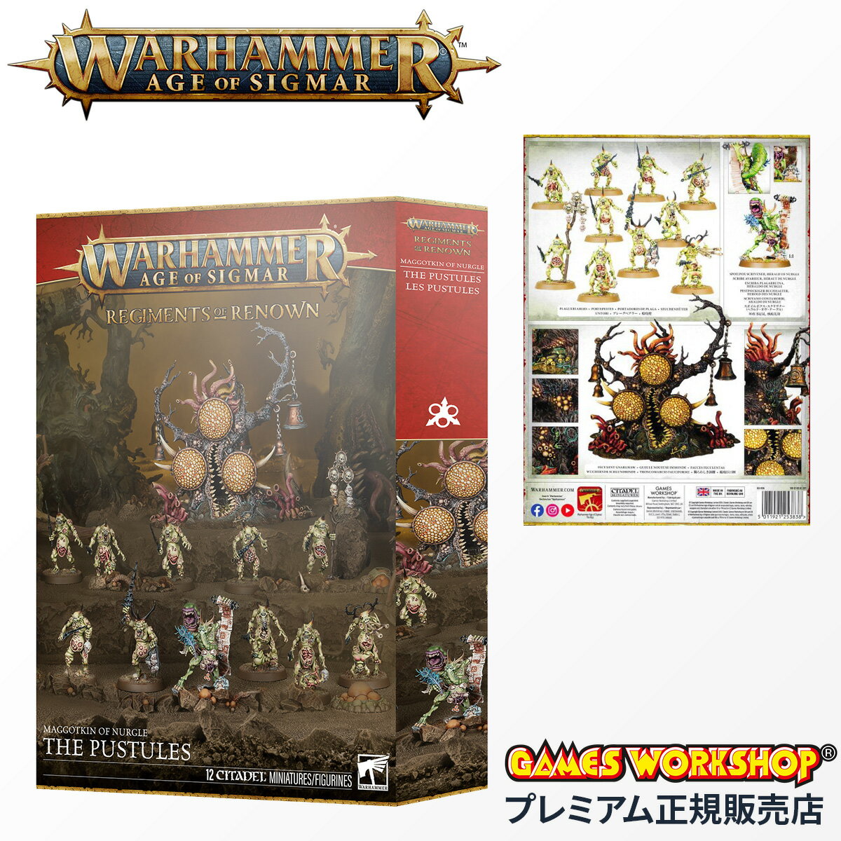 【追加最大+31倍｜2/1限定】ウォーハンマー エイジ・オヴ・シグマー（AoS） 名高き連隊：マゴットキン・オヴ・ナーグル：膿疱衆 WARHAMMER AGE OF SIGMAR 83-106