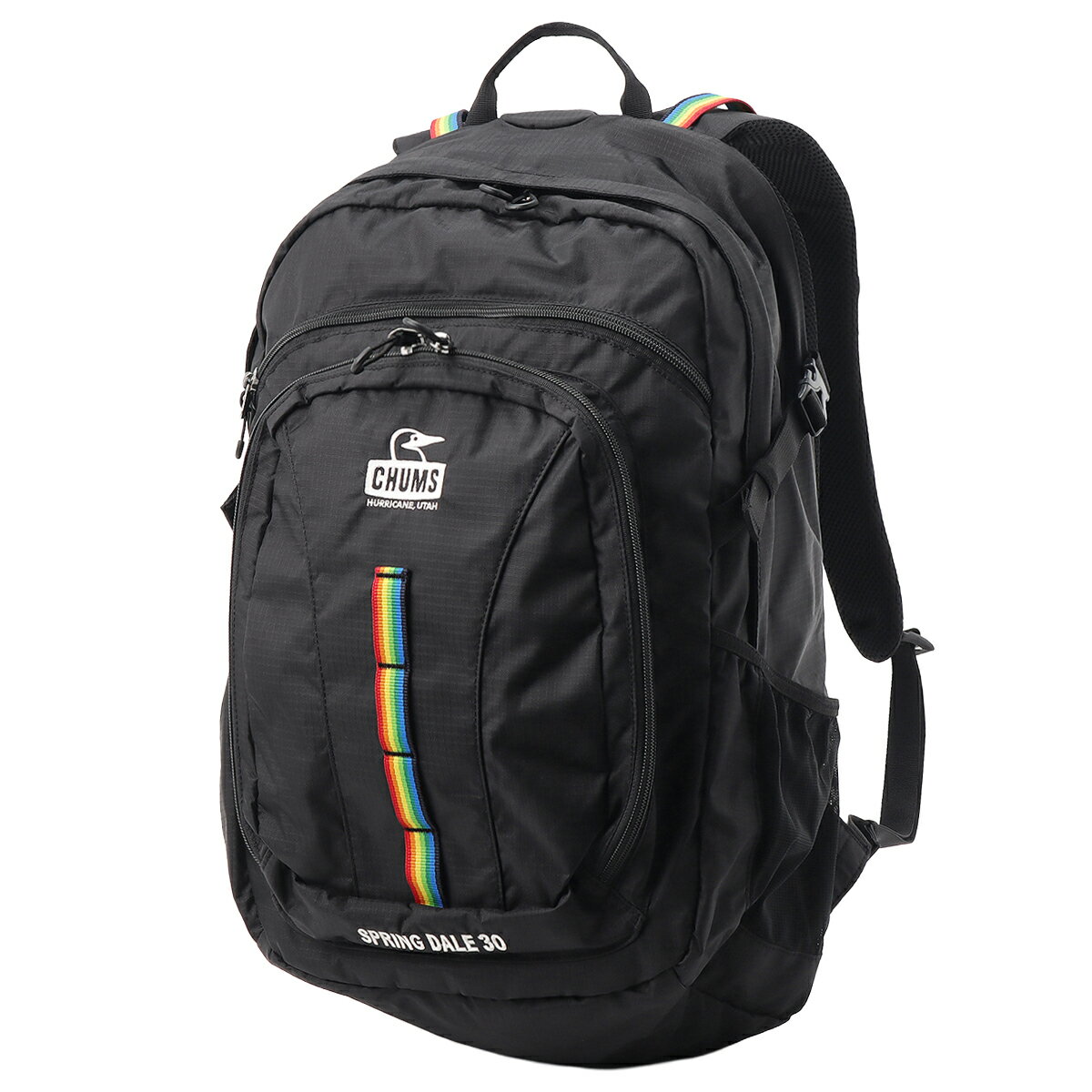 楽天市場】チャムス リュック スプリングデール30の通販