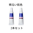 【2本セット】資生堂 NAVISION ナビジョンDR スポッツカバー 15g ファンデーション(部分用) 明るい肌色 SPF40 PA＋＋＋ 送料無料 当日発送