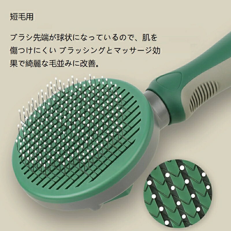 �ڥåȥ֥饷 ǭ �� ���롼�ߥ� ������ ȴ���� û�� Ĺ�� �ޥå����� �����к� ȩ����Ĥ��ʤ� �ˤ��ʤ� �������� ���� ������ ����å�